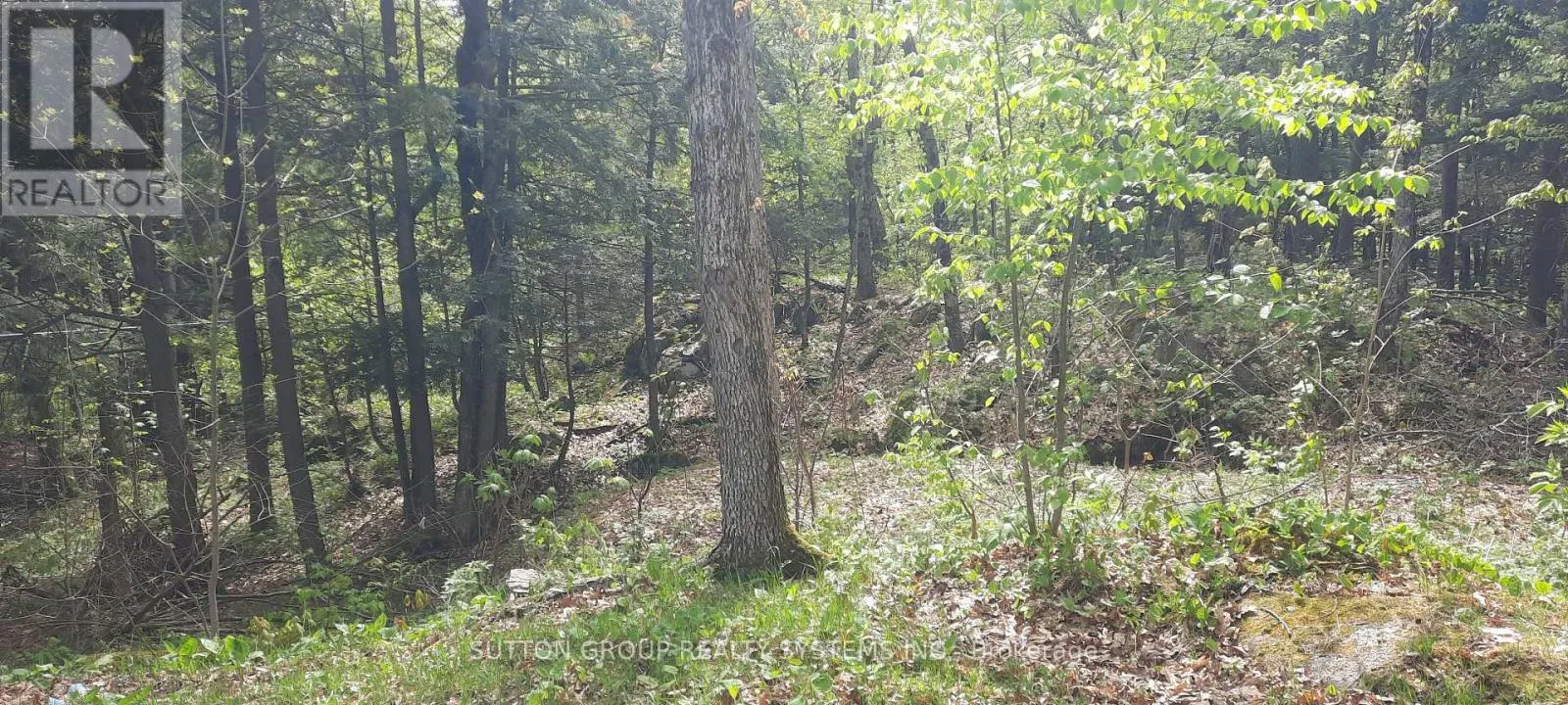 234 HEALEY LAKE WATER