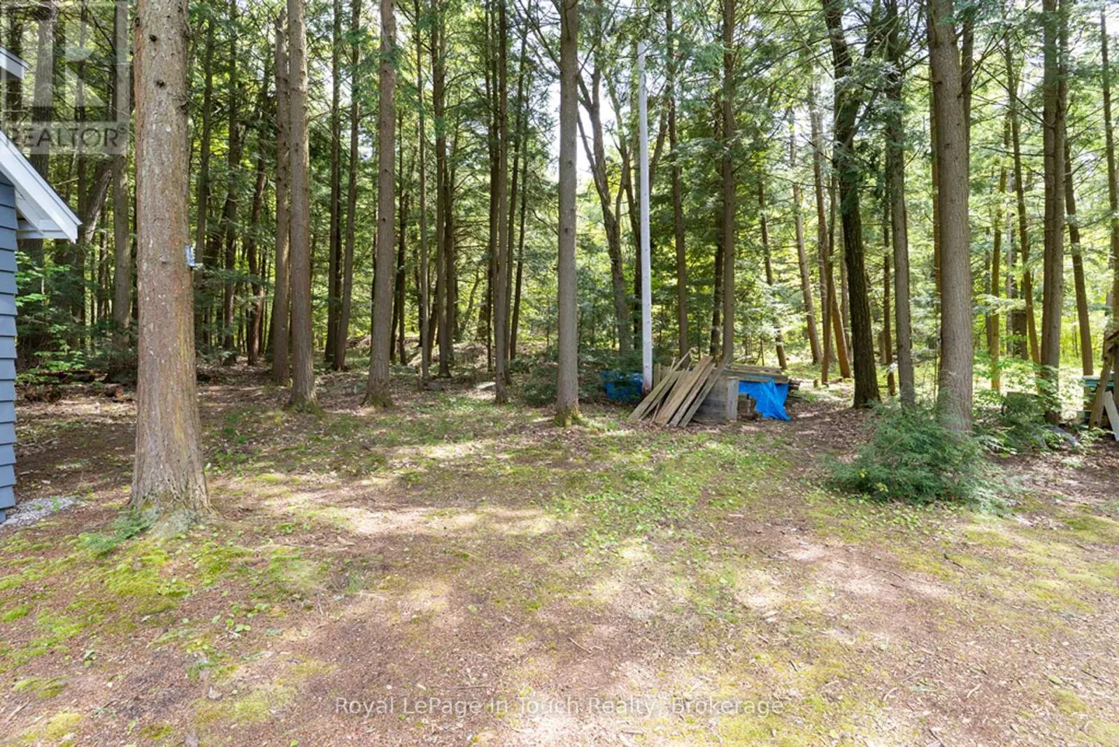 15052 GEORGIAN BAY SHORE