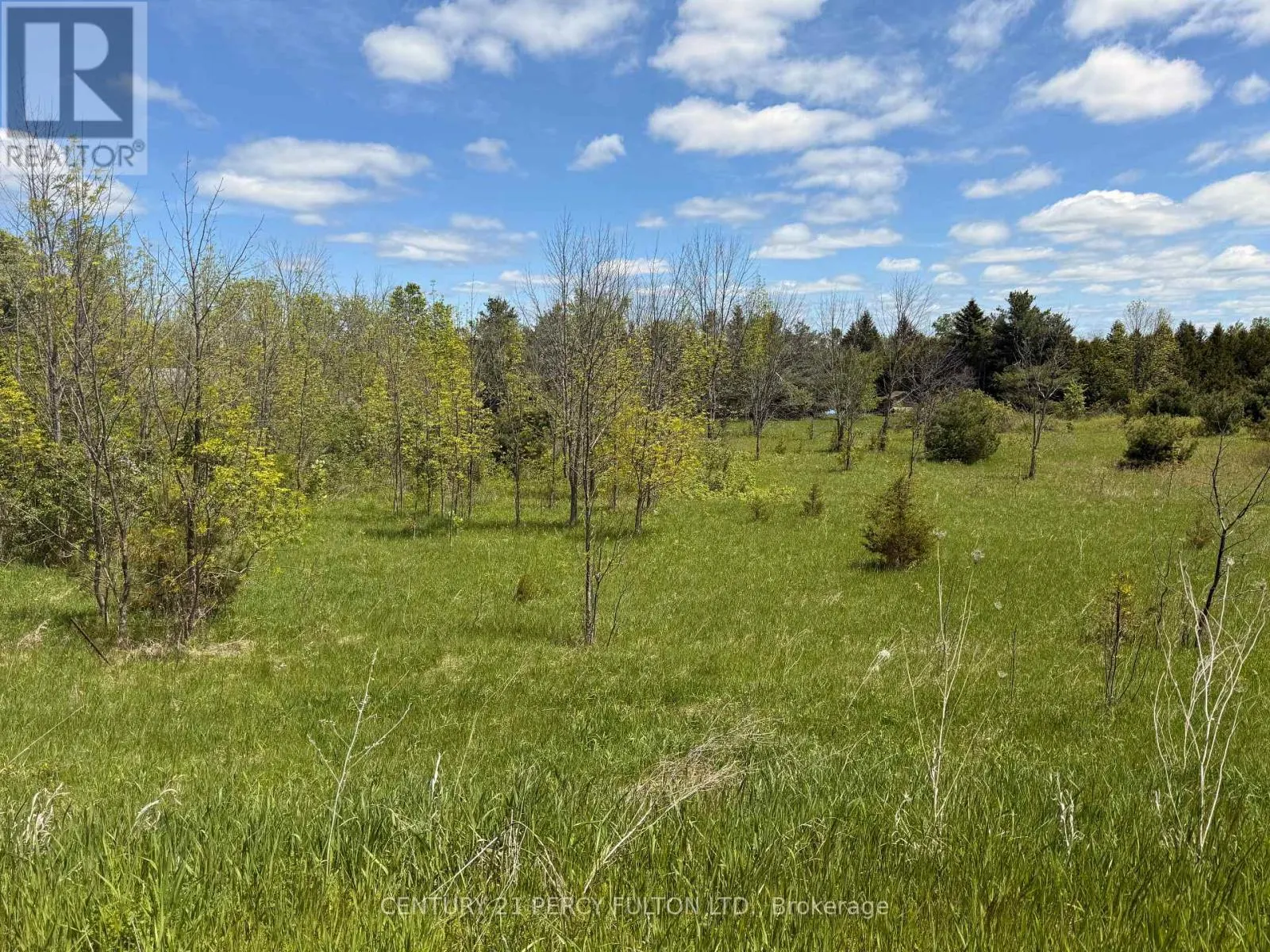 LOT 55 COUNTY RD 25