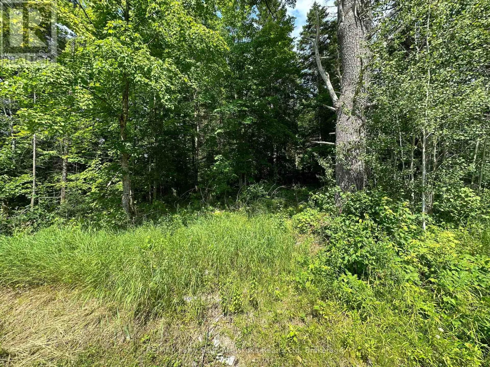 0 BLACKWATER ROAD