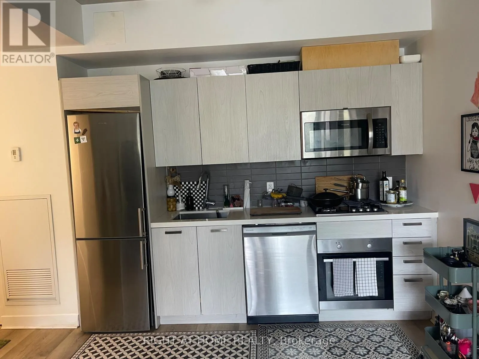 310 - 203 CATHERINE STREET