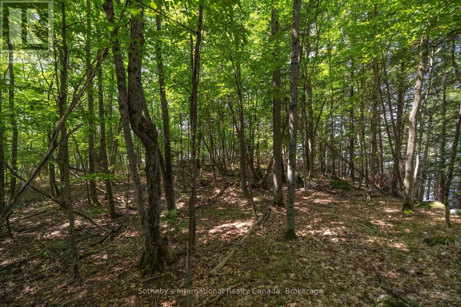 8 - 1124 COATE ROAD, #8