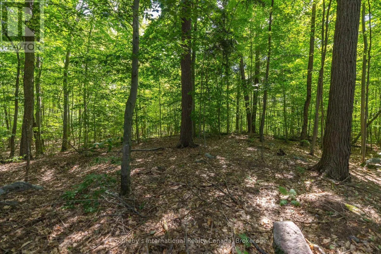 8 - 1124 COATE ROAD, #8