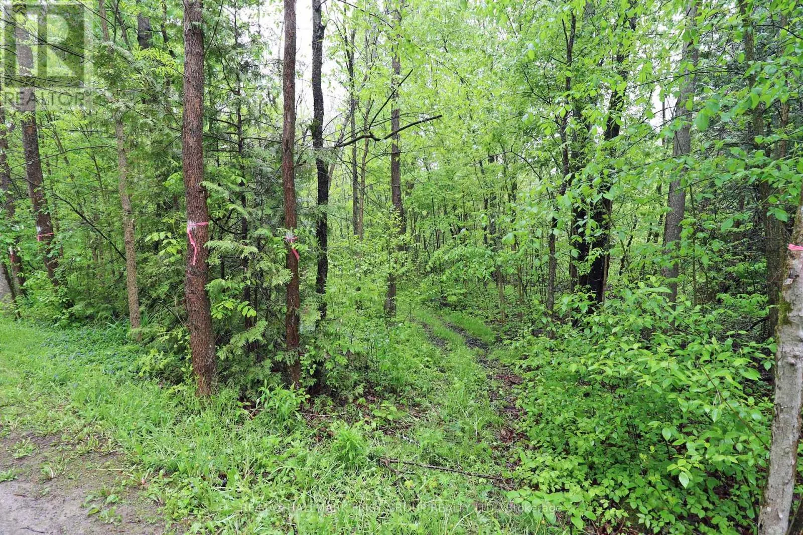 PT 12 HUGHES LANE