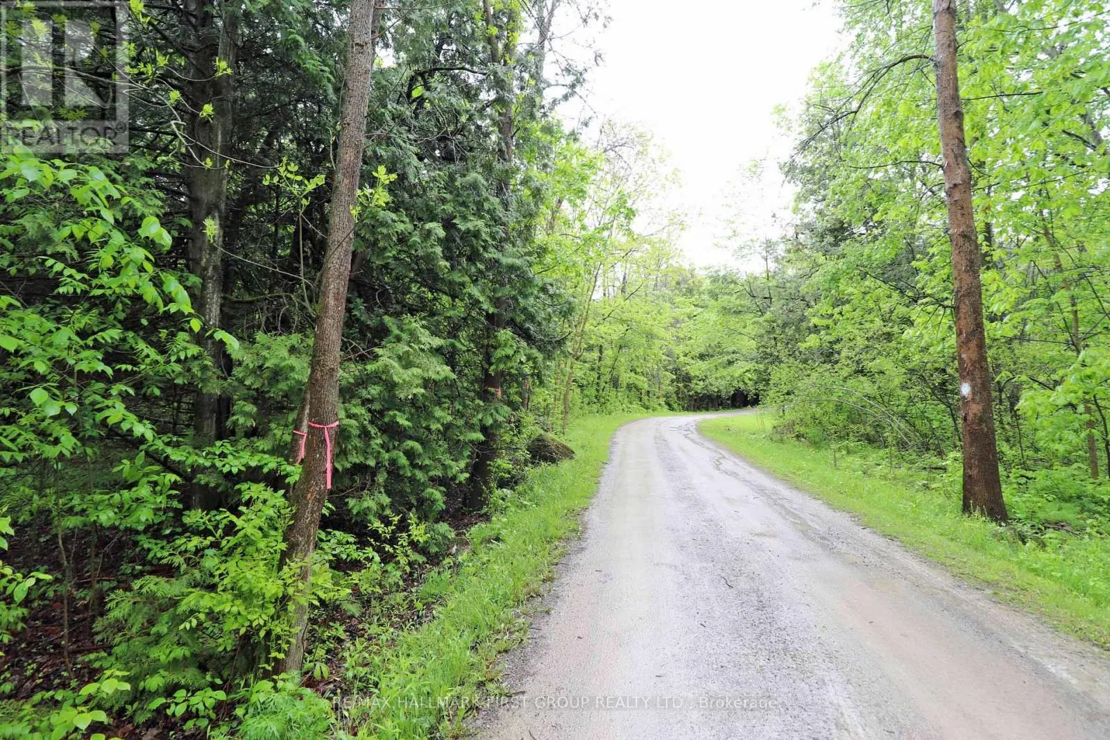 PT 12 HUGHES LANE
