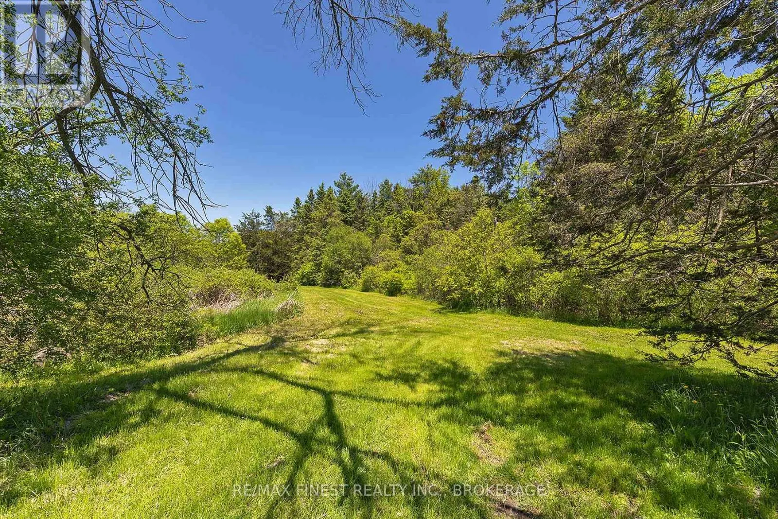 201 PERCH COVE LANE