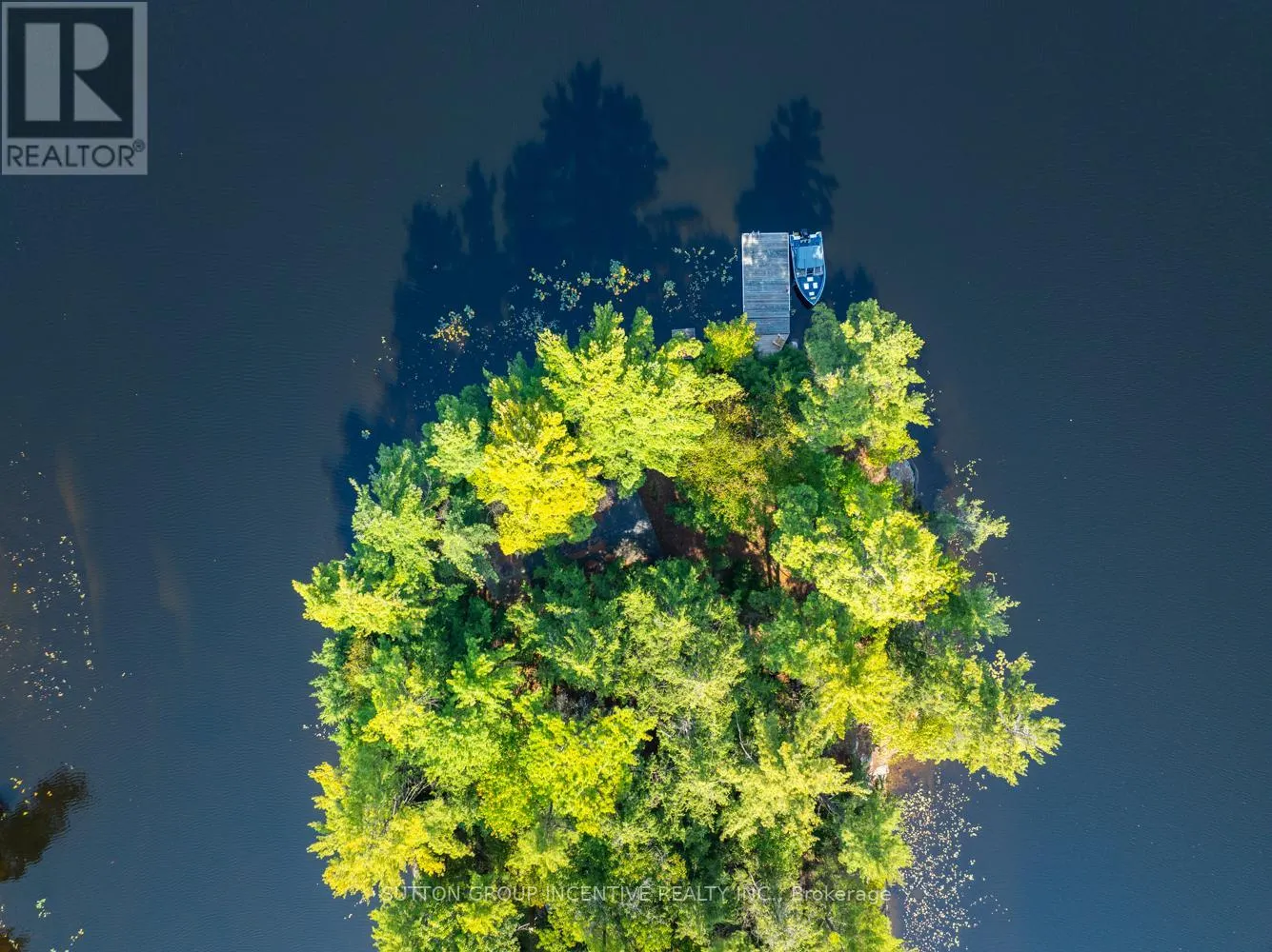 431 HEALEY LAKE
