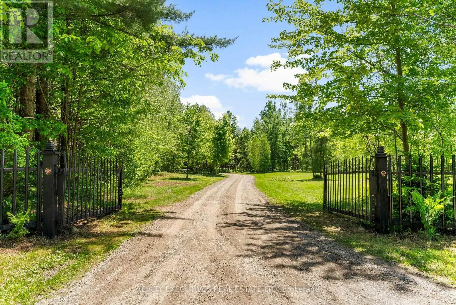 10650 IRISH HEADLINE ROAD