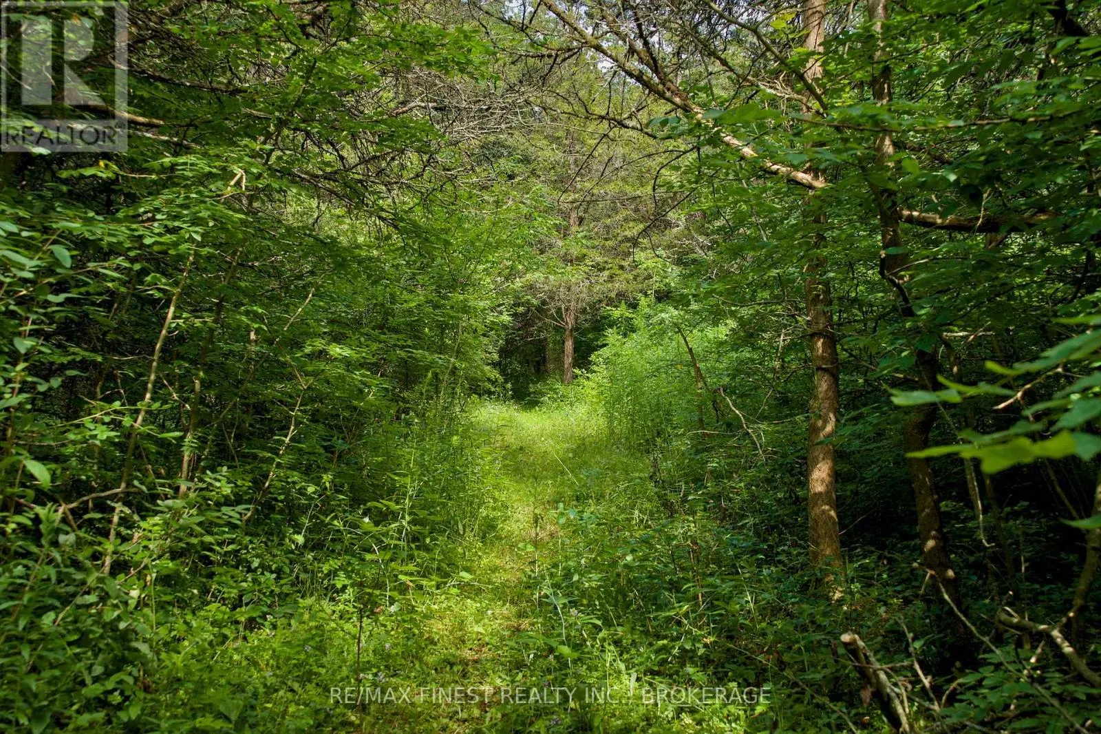 14005 FRONT ROAD