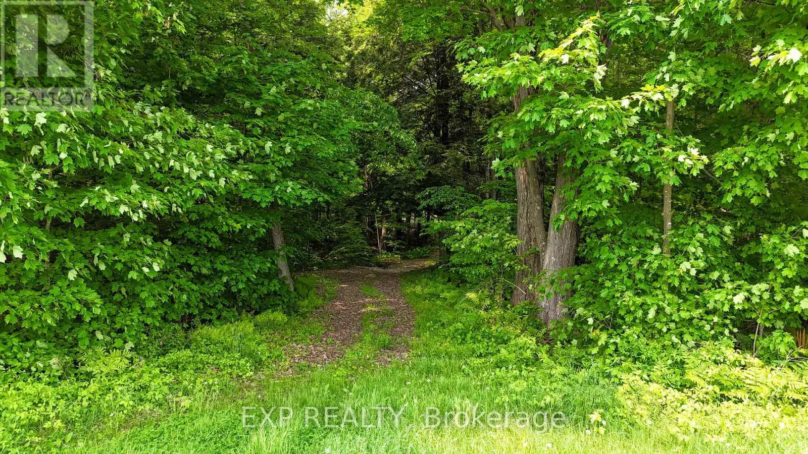 00 CONCESSION 3 ROAD