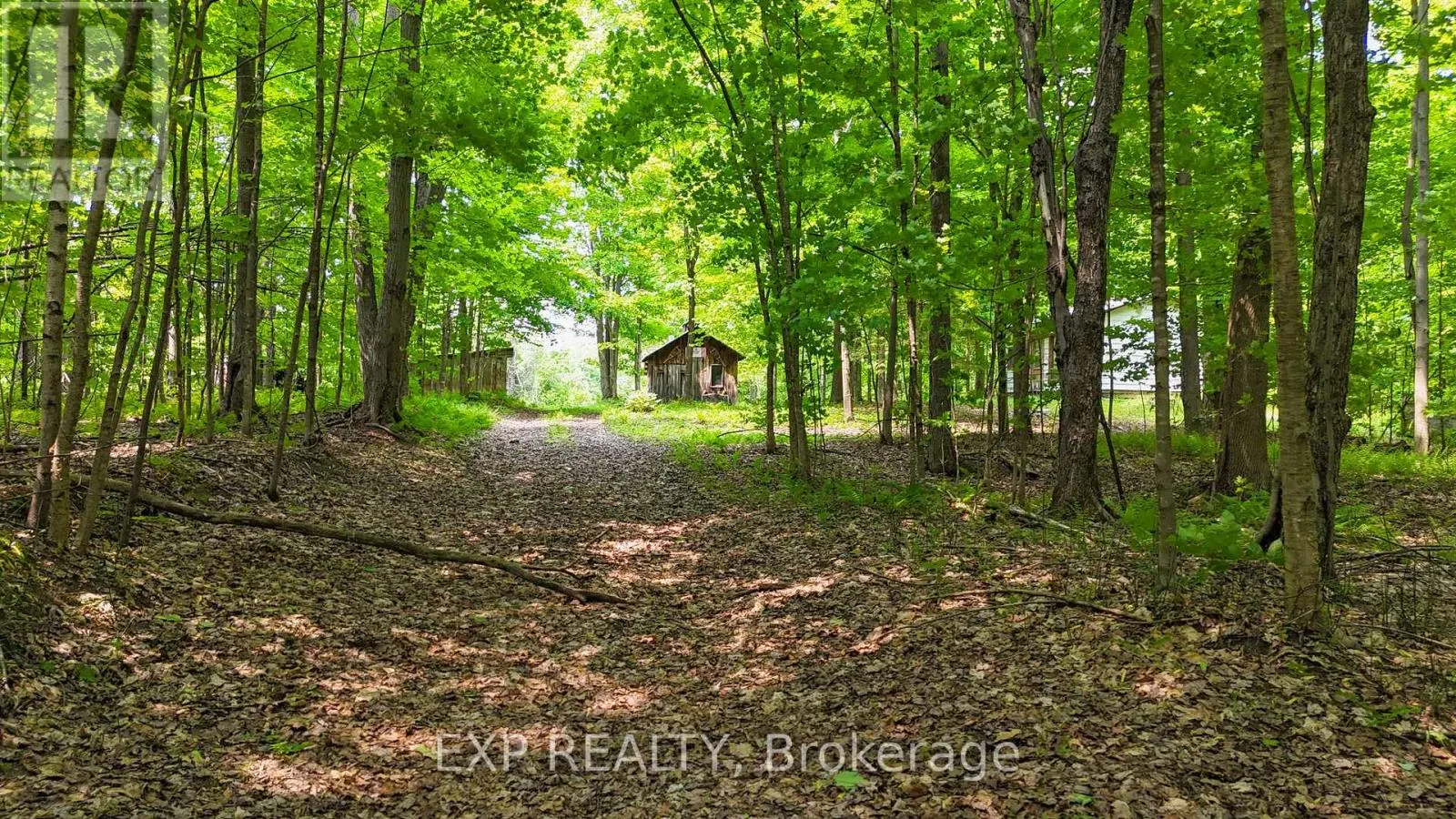00 CONCESSION 3 ROAD