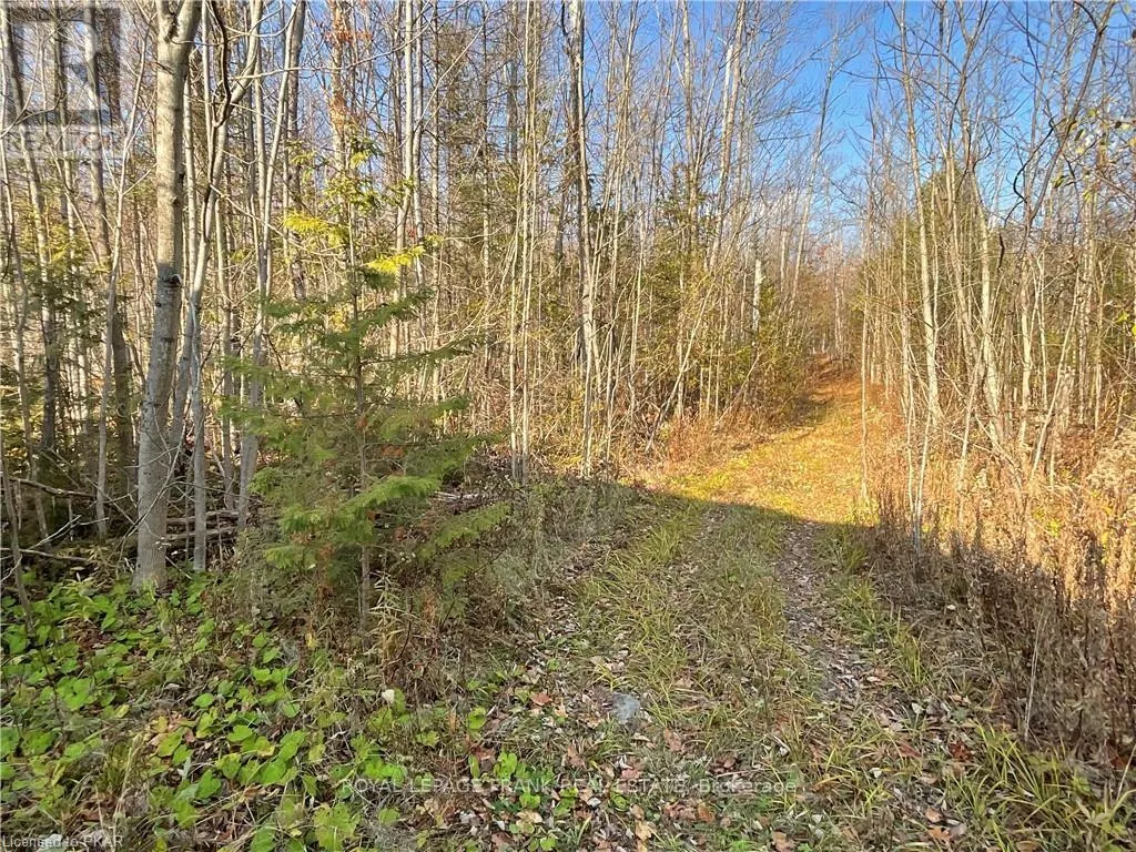 3467 COUNTY RD 36