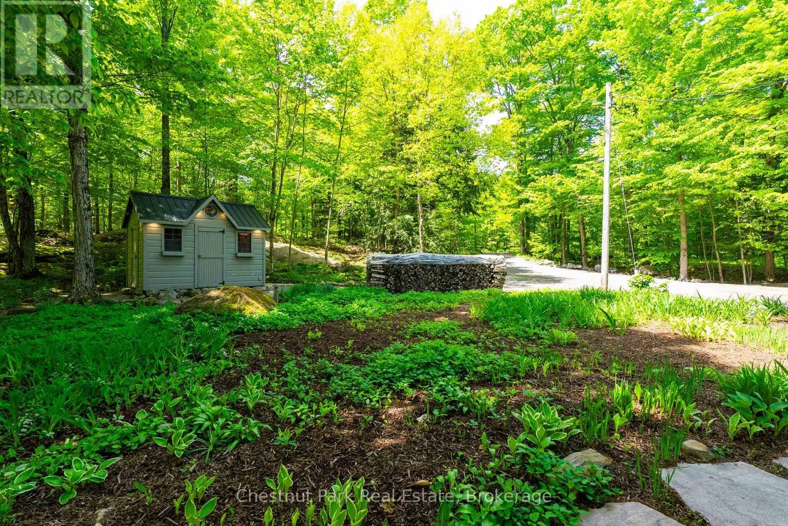 3 - 1246 DUDLEY ROAD, #3