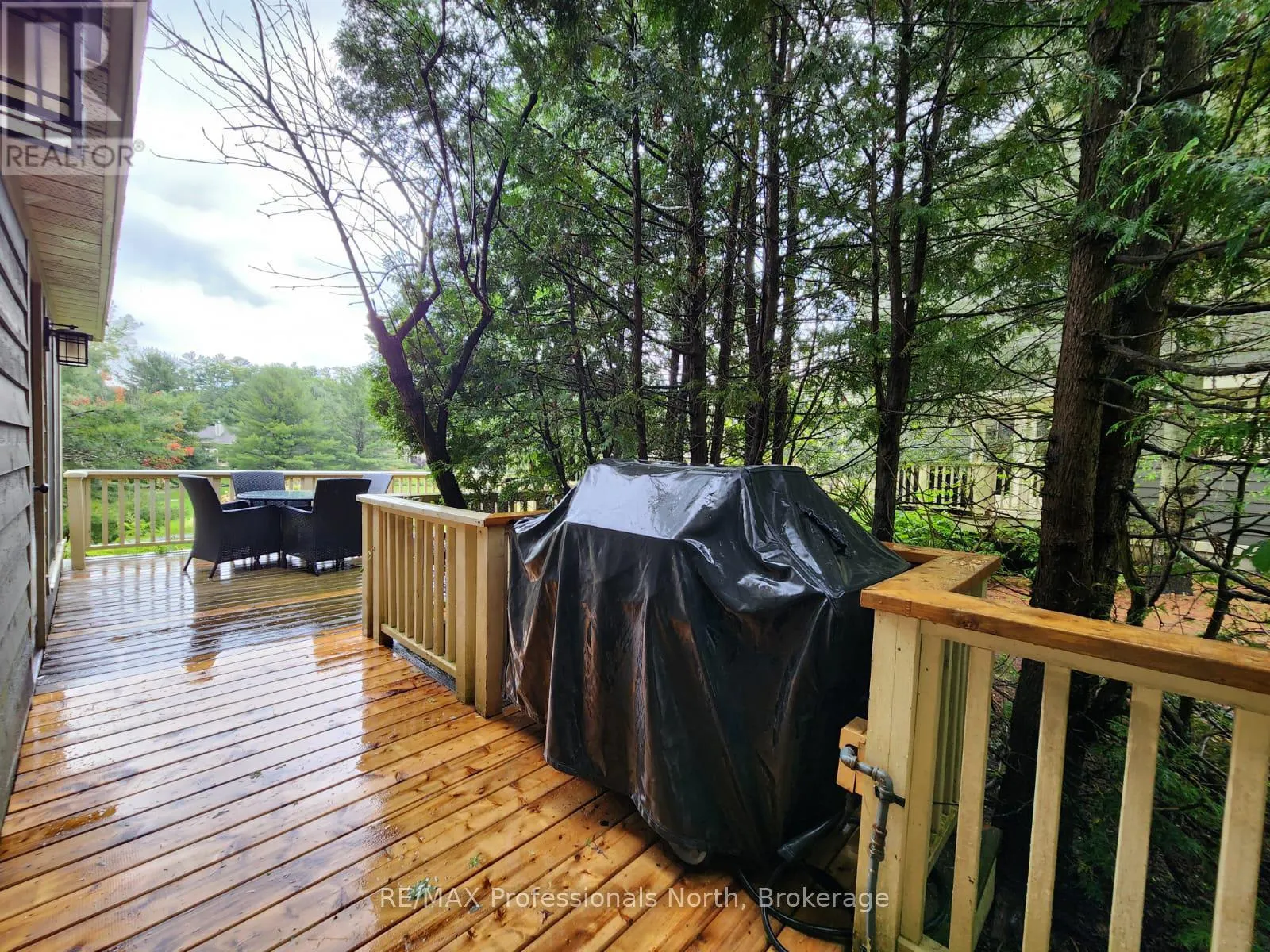 SANDFIELD 2, WEEK 10 - 3876 MUSKOKA ROAD 118
