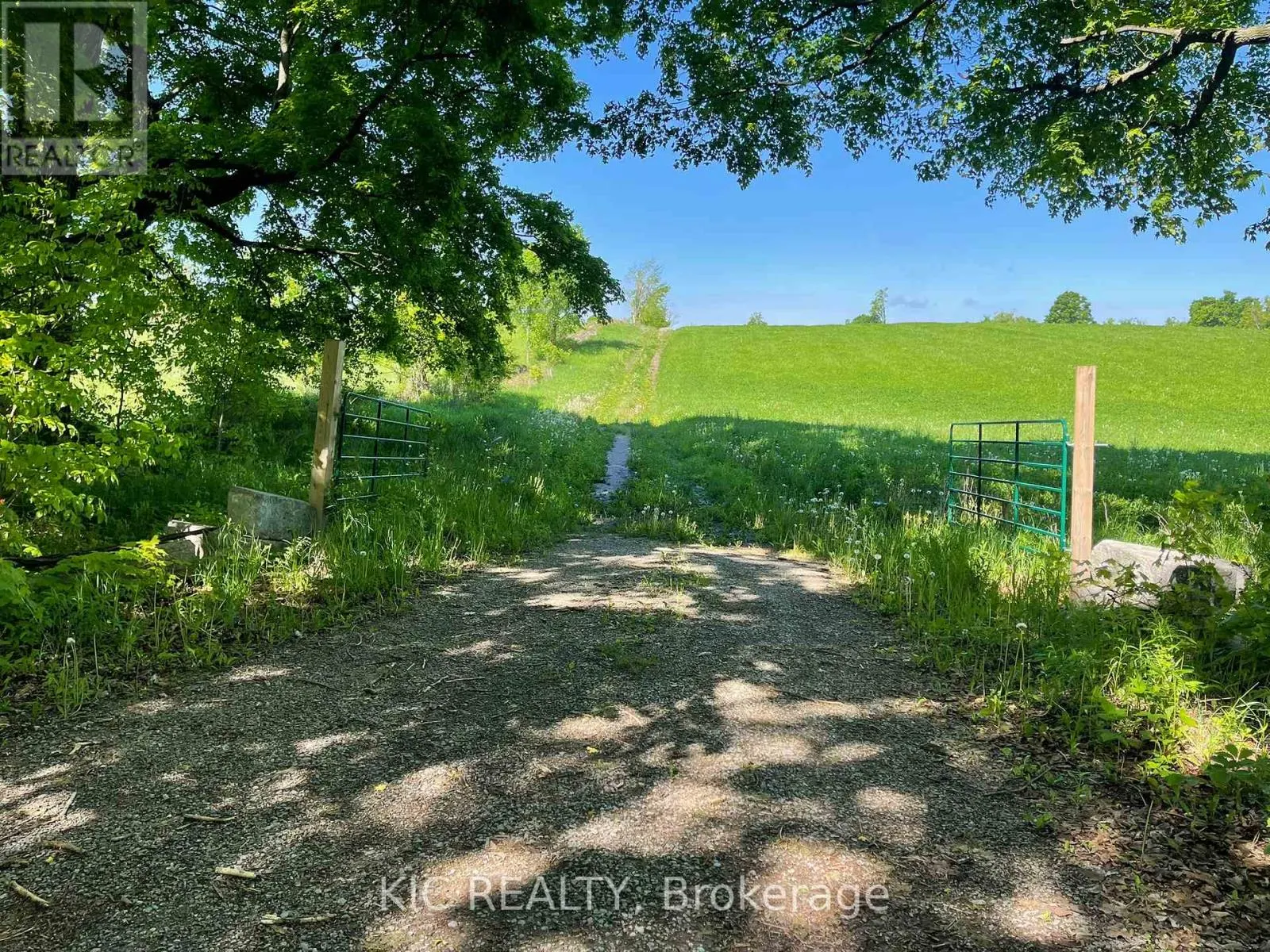 556 FIFTH LINE RD DUM ROAD