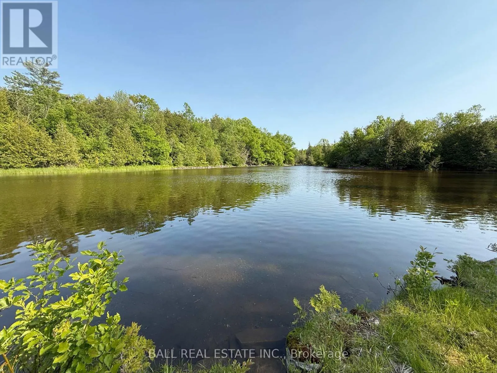 491 SAWMILL ROAD