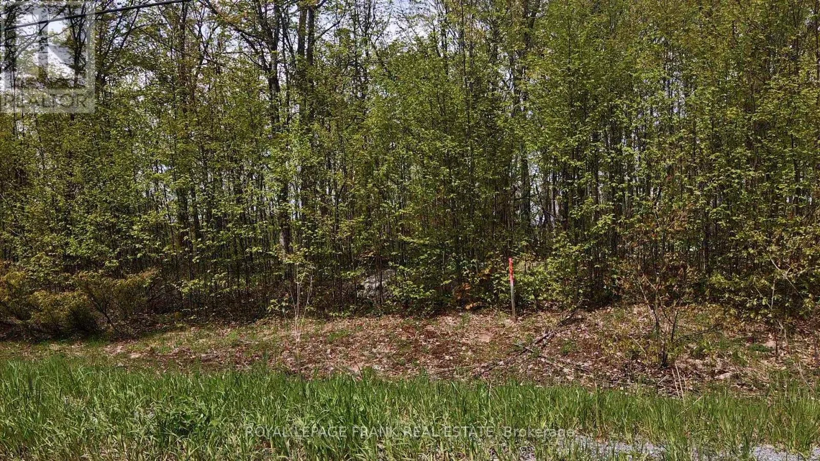 00 BIRCHVIEW ROAD