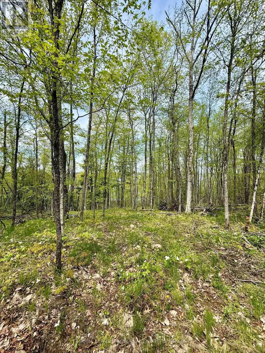00 BIRCHVIEW ROAD