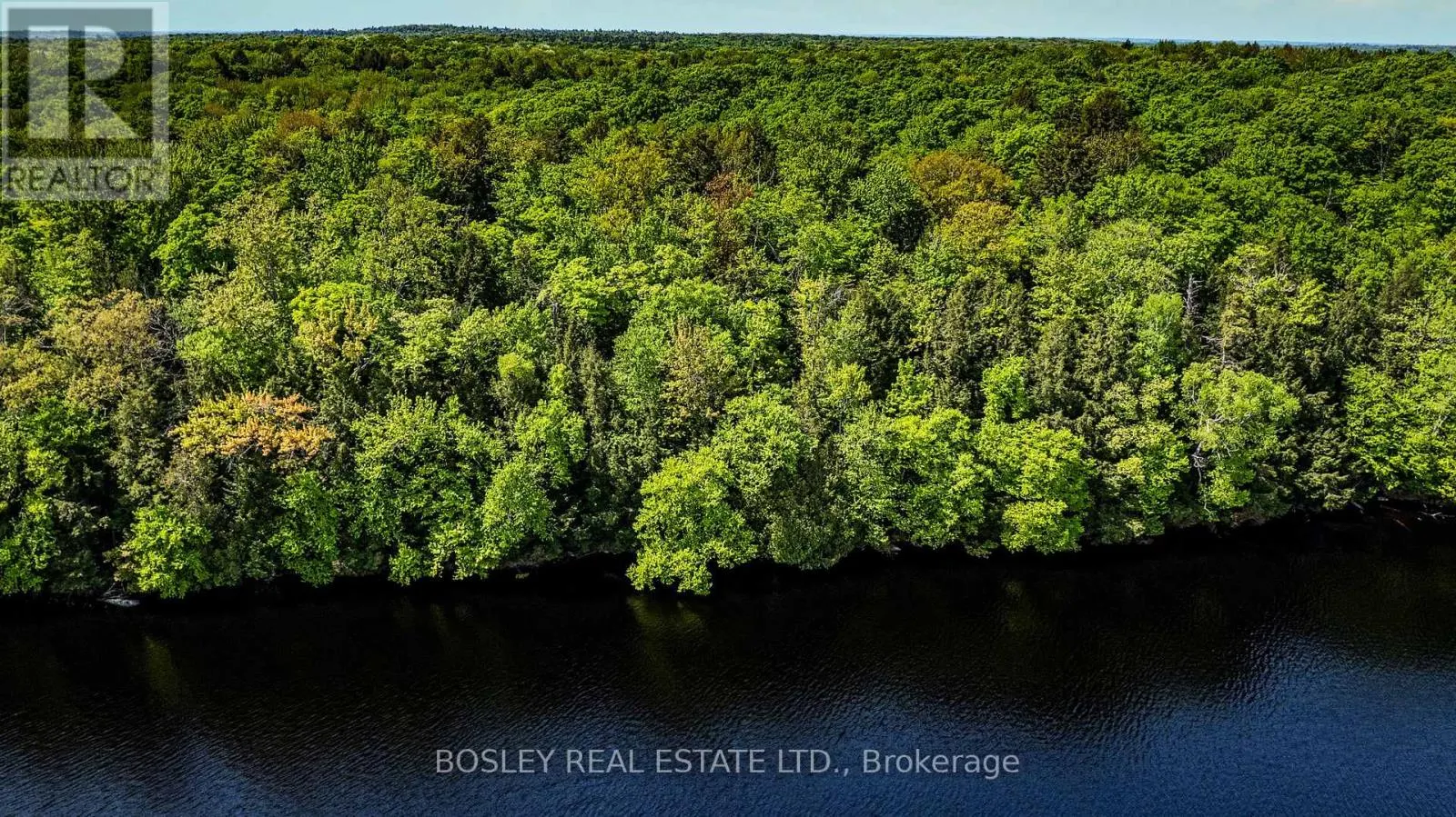 UNIT 13 LOT 6 - 1310 CAMEL LAKE ROAD