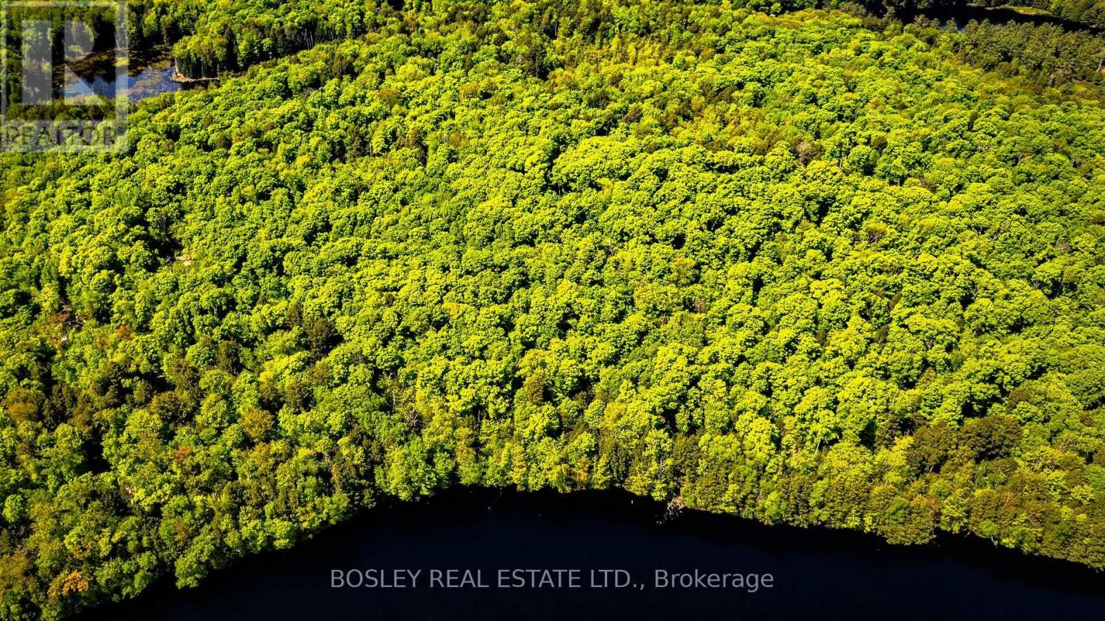 UNIT 13 LOT 6 - 1310 CAMEL LAKE ROAD