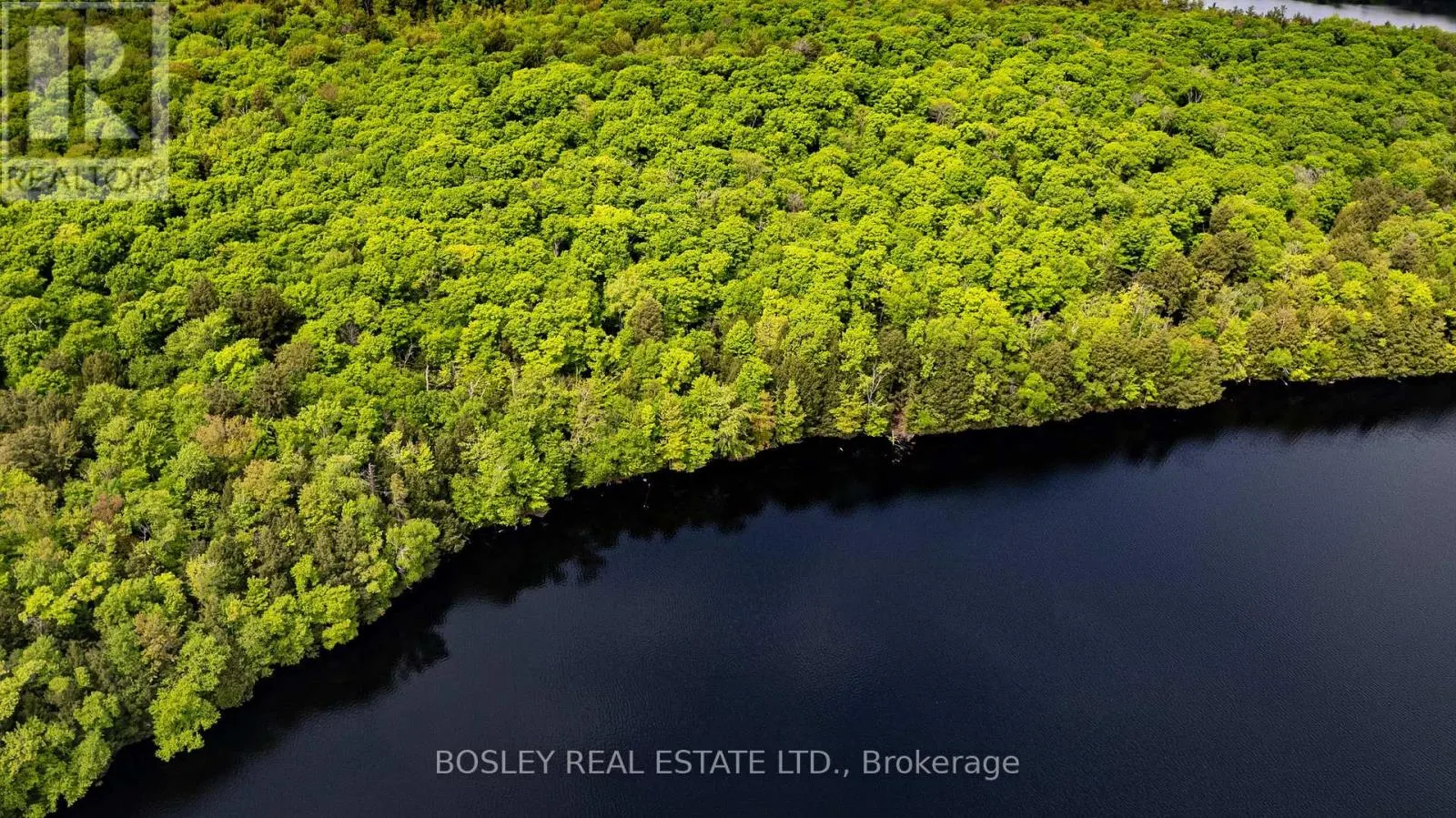 UNIT 13 LOT 6 - 1310 CAMEL LAKE ROAD