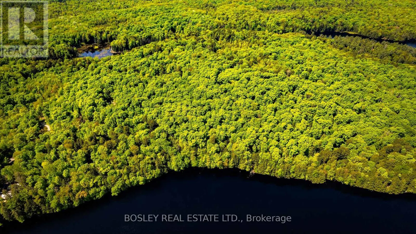 UNIT 13 LOT 6 - 1310 CAMEL LAKE ROAD