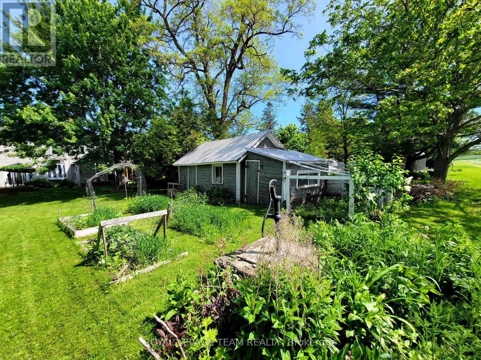 16 PETER STREET S