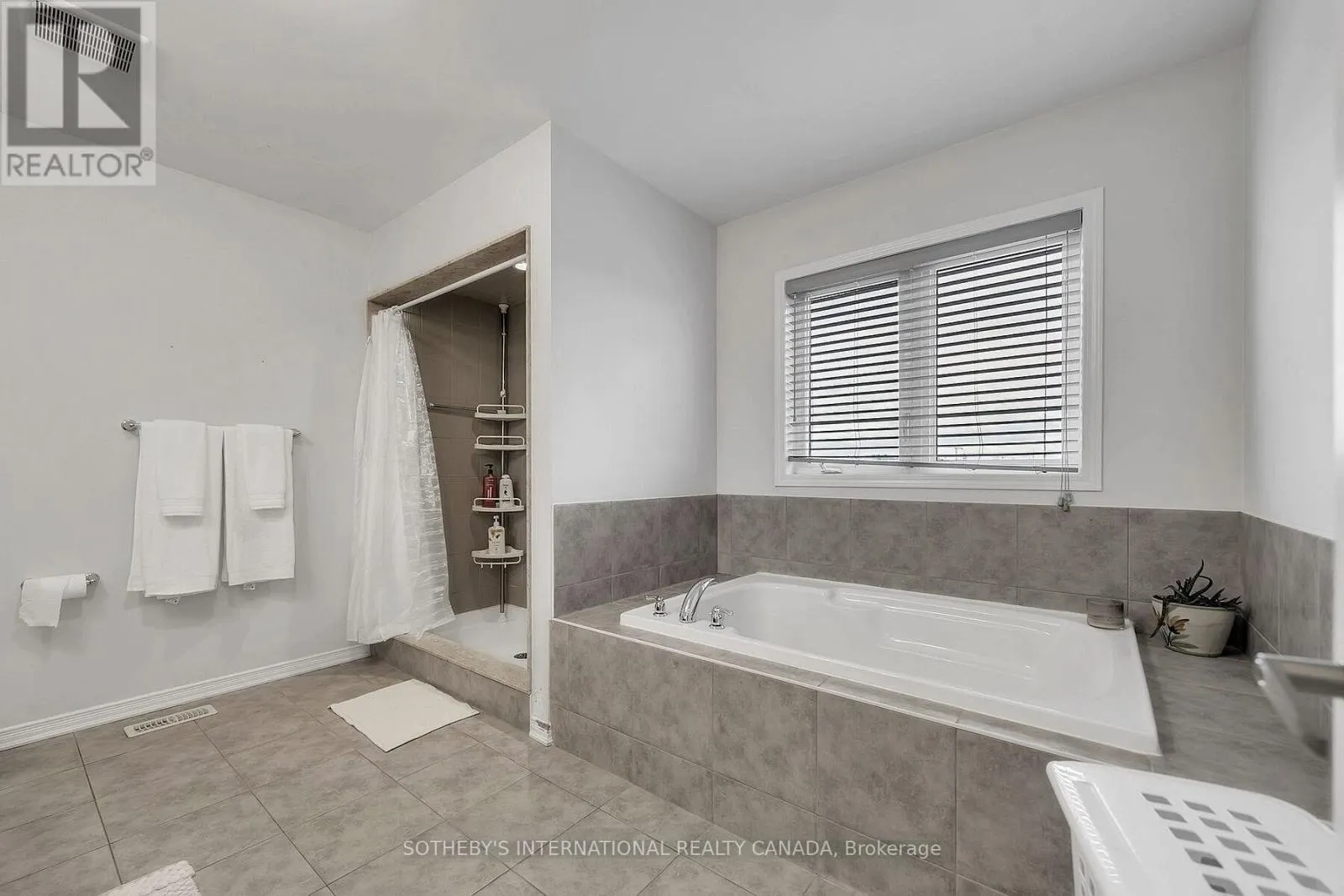 238 DOLMAN STREET
