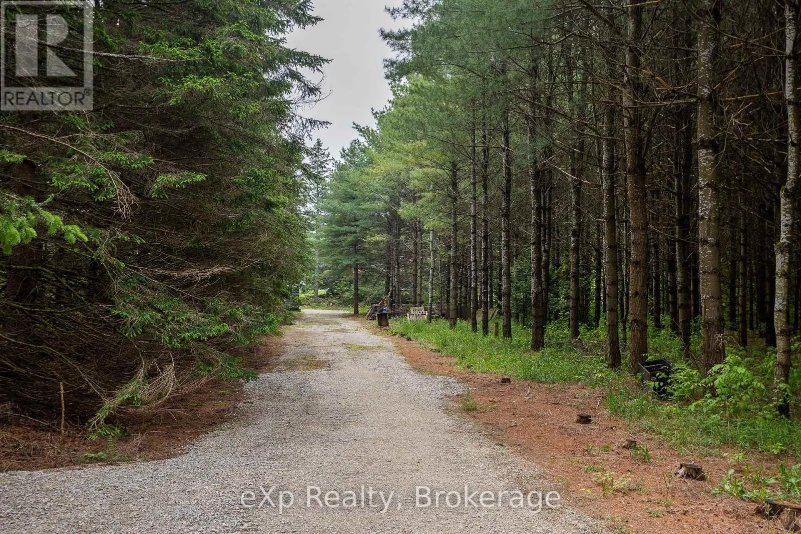103379 GREY RD 18