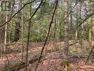 LOT 30 HIGHWAY 62