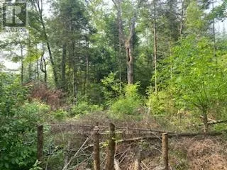 LOT 30 HIGHWAY 62