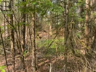 LOT 30 HIGHWAY 62