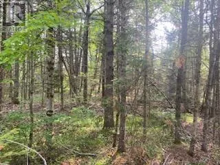 LOT 30 HIGHWAY 62