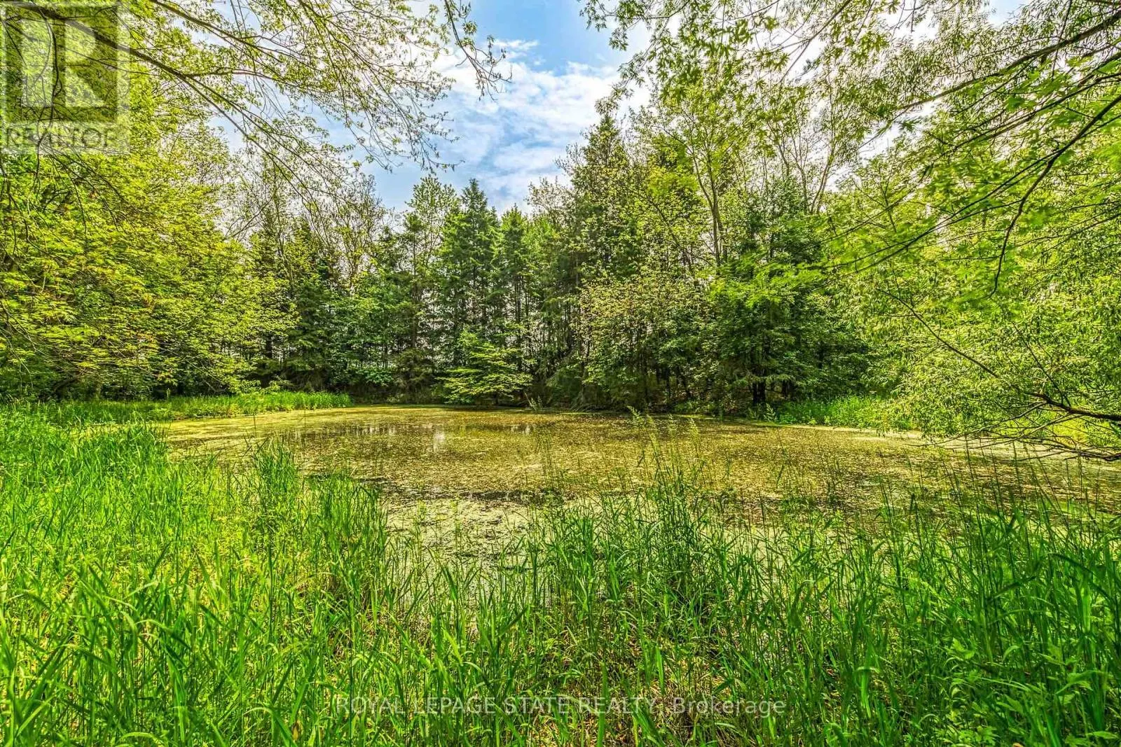 99 SAWMILL ROAD