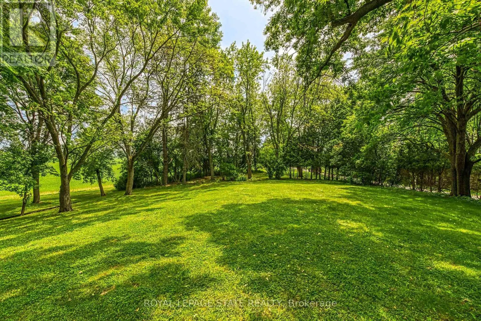 99 SAWMILL ROAD