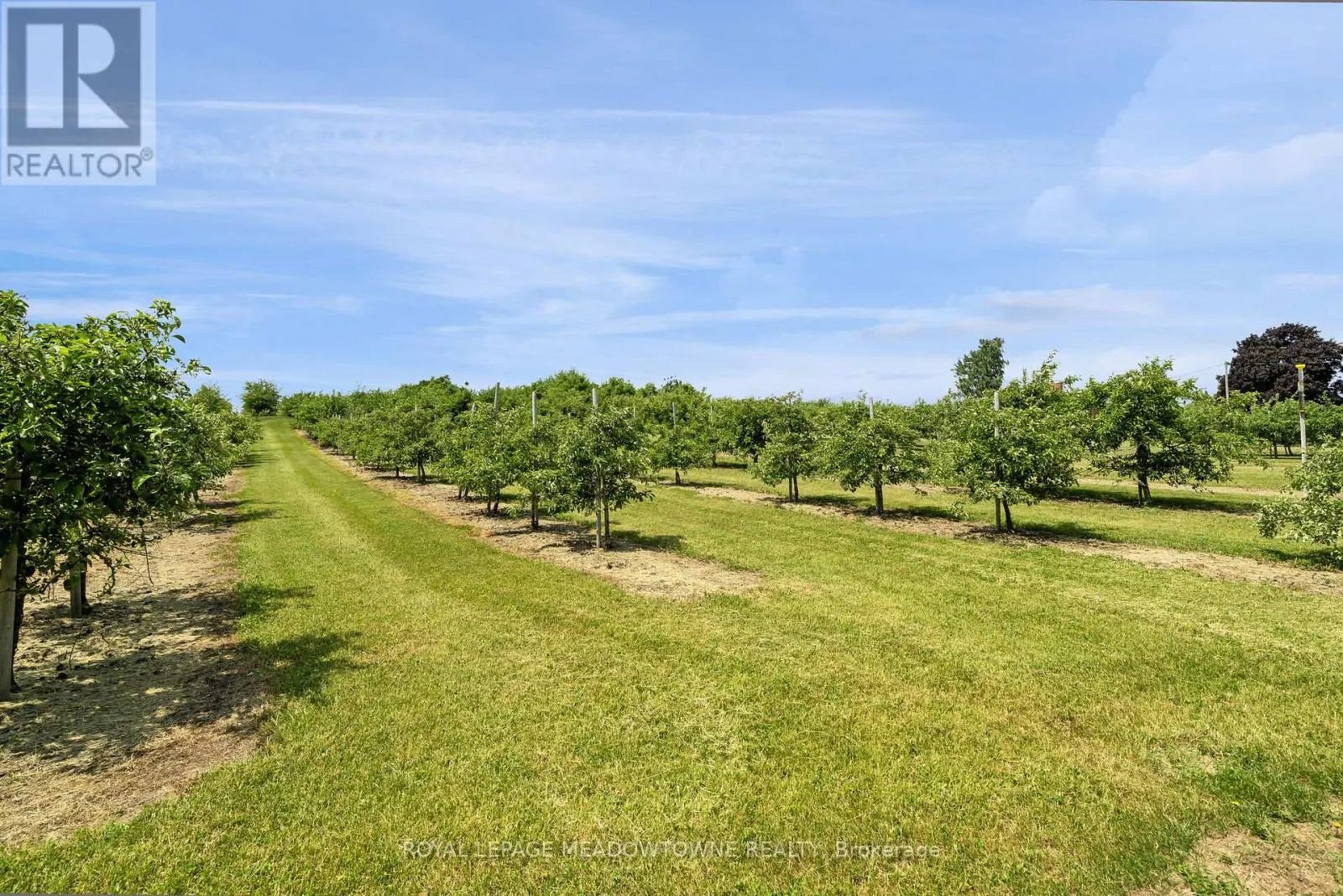 1453 MILBUROUGH LINE