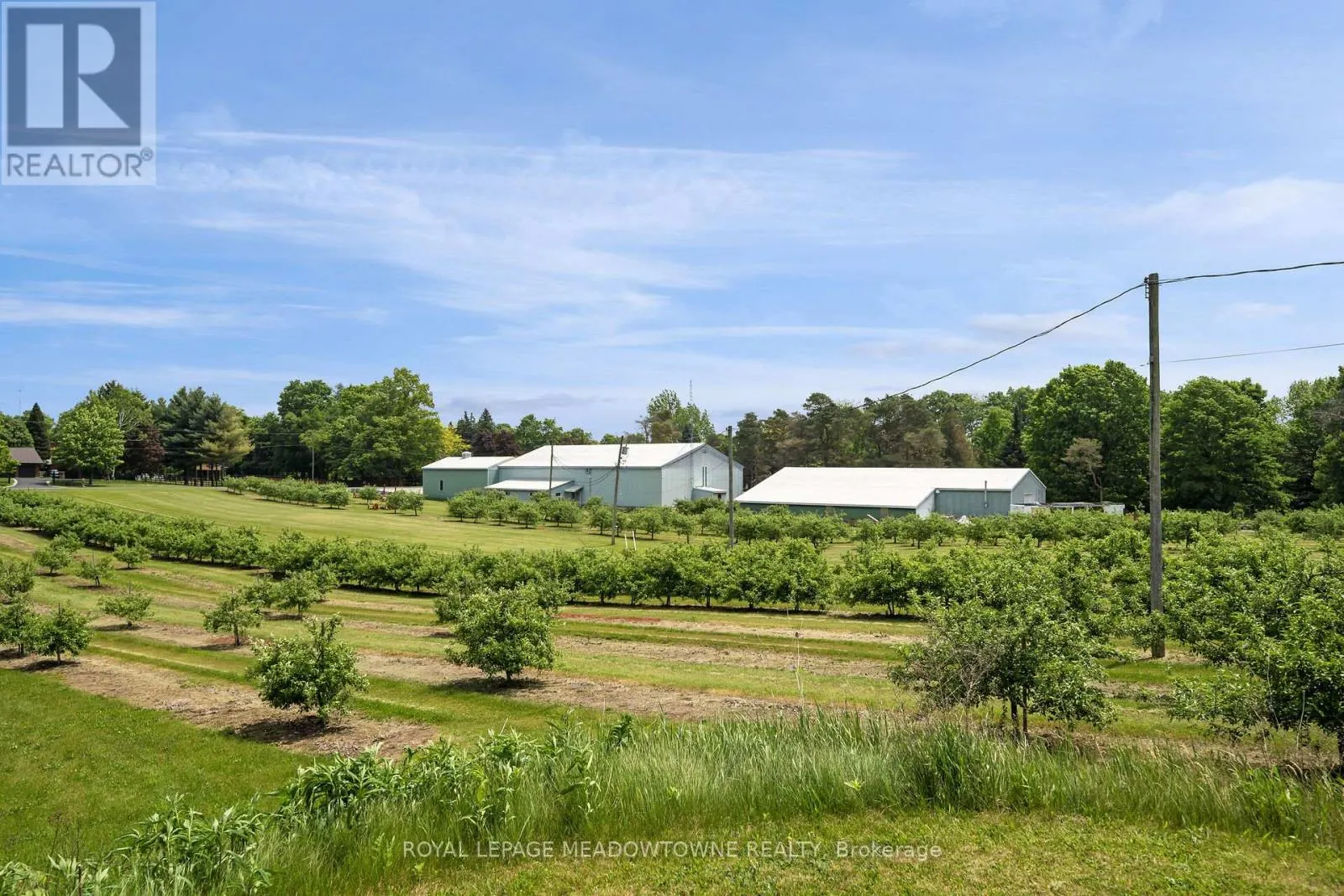 1453 MILBUROUGH LINE