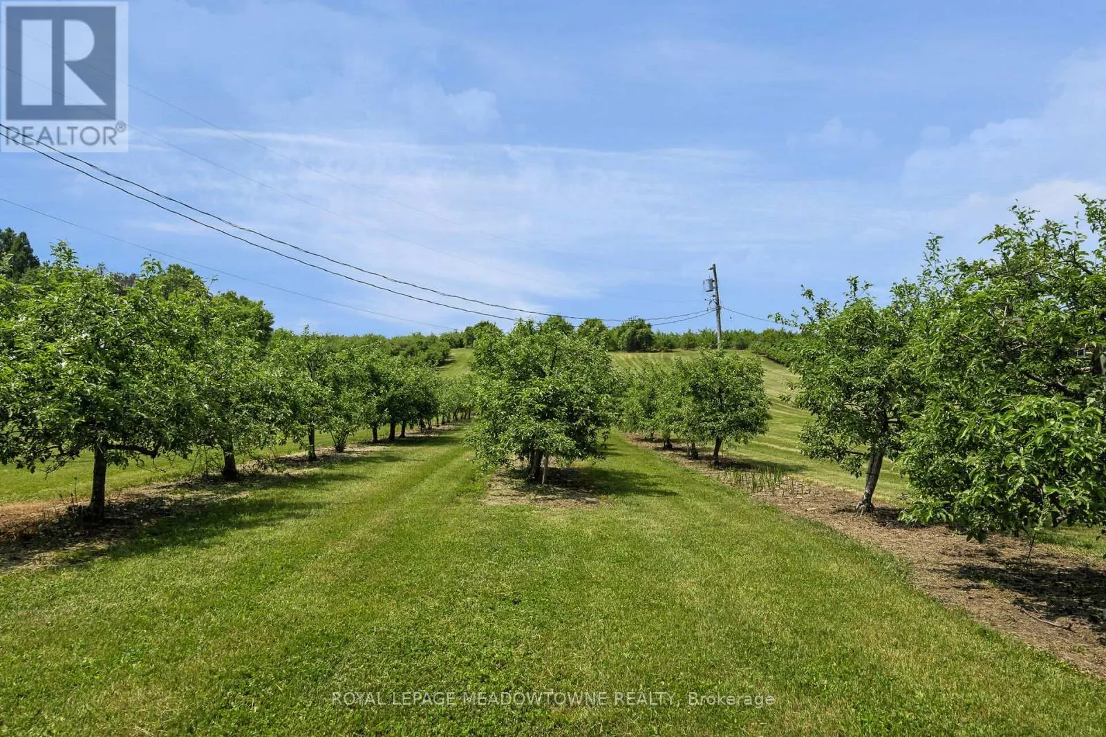 1453 MILBUROUGH LINE