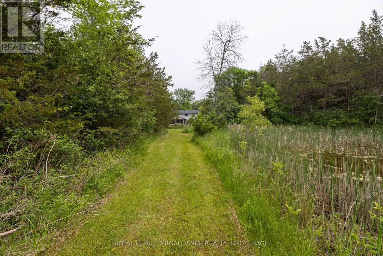 1223 COUNTY ROAD 9