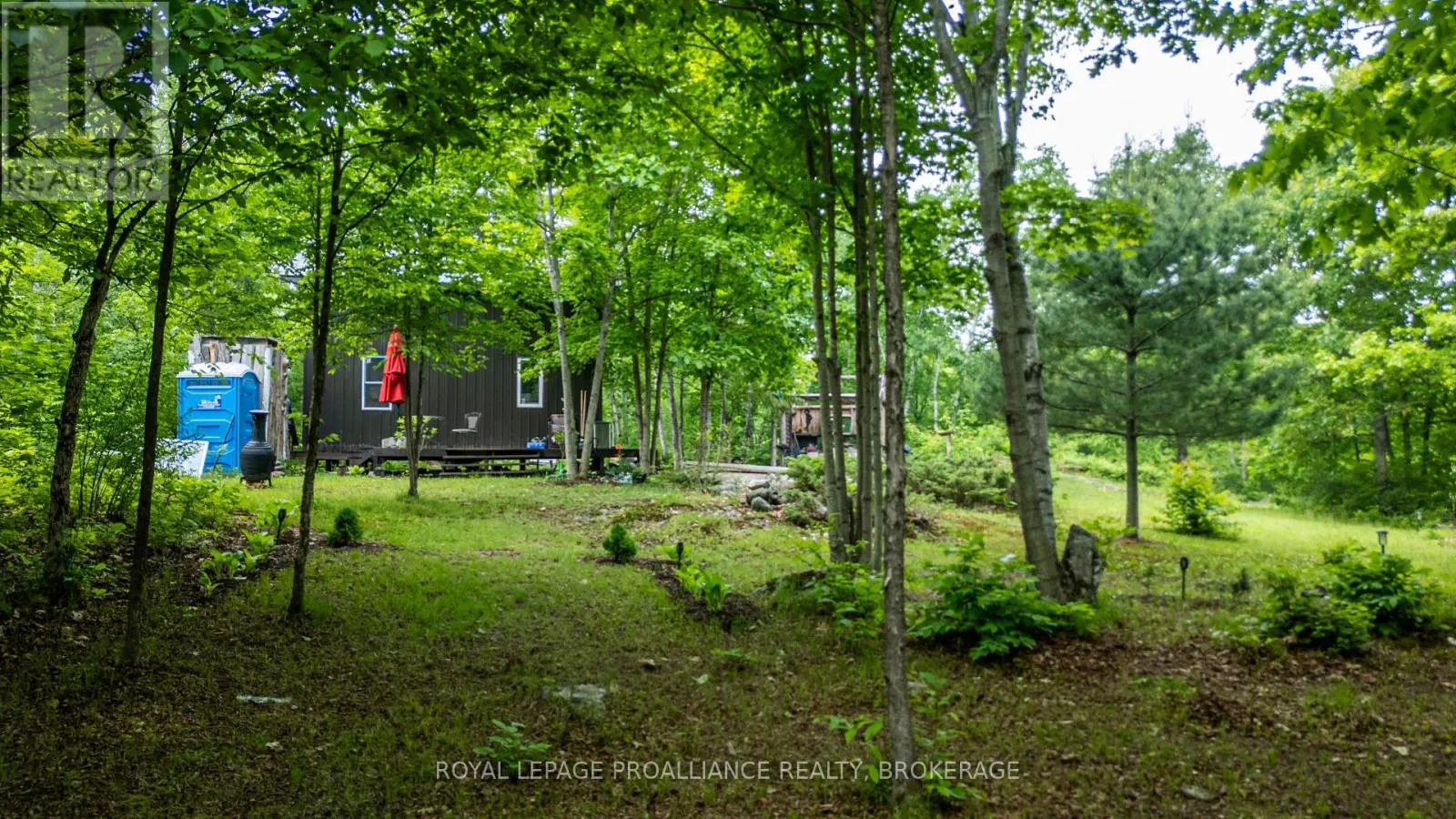384 BIG CROSBY LAKE ROAD