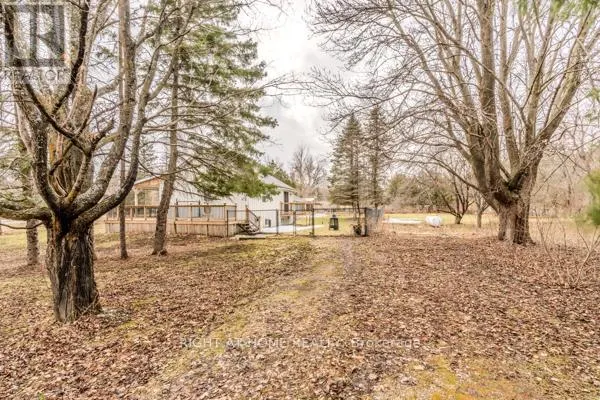 667287 20 SIDE ROAD