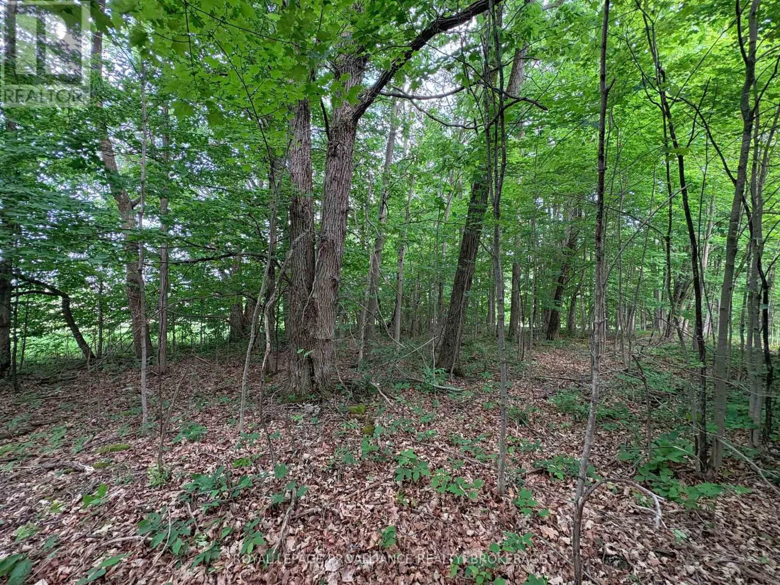 LOT 3 JAMIESON ROAD