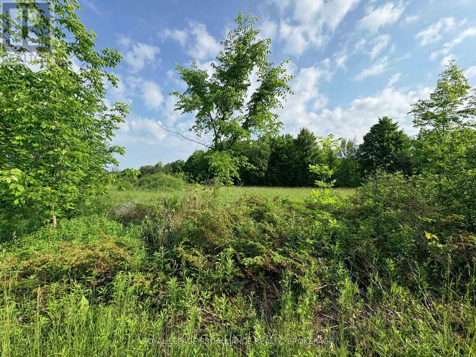 LOT 3 JAMIESON ROAD