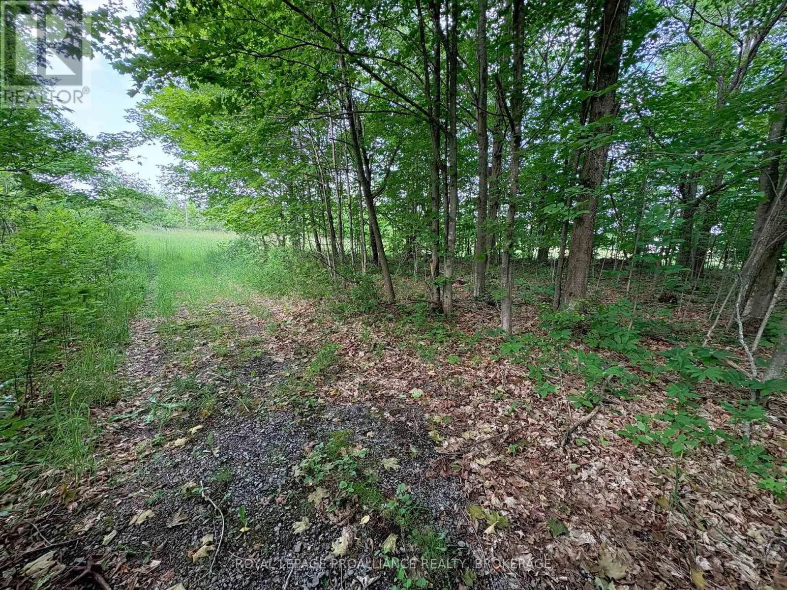 LOT 3 JAMIESON ROAD