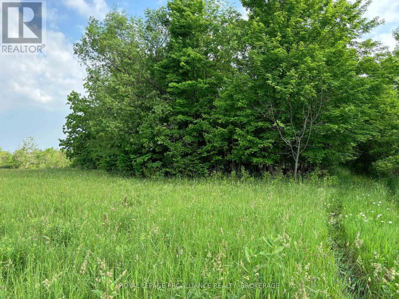 LOT 3 JAMIESON ROAD