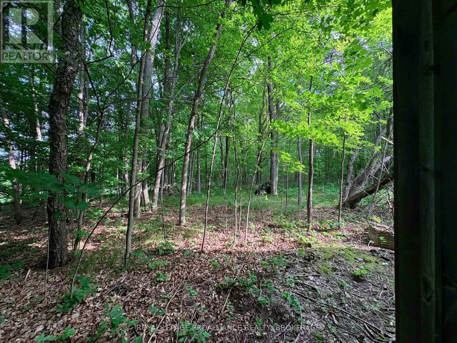 LOT 3 JAMIESON ROAD