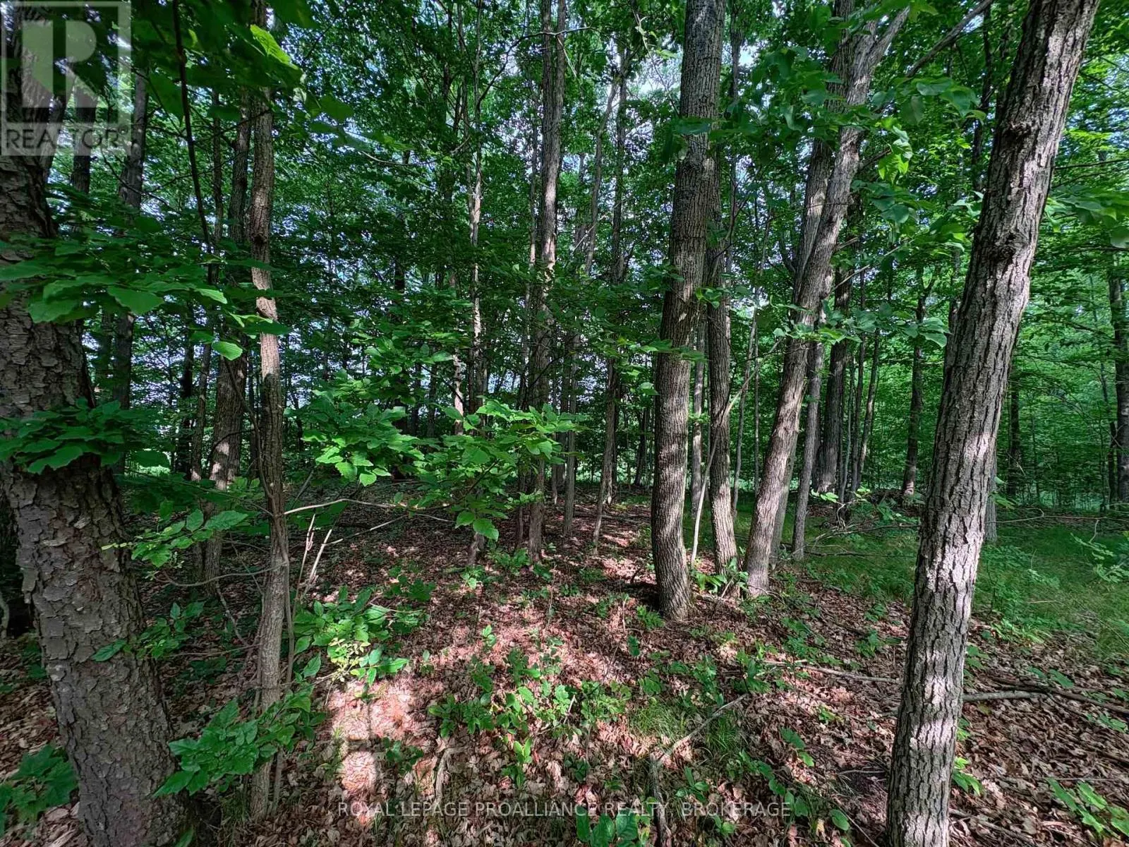 LOT 3 JAMIESON ROAD