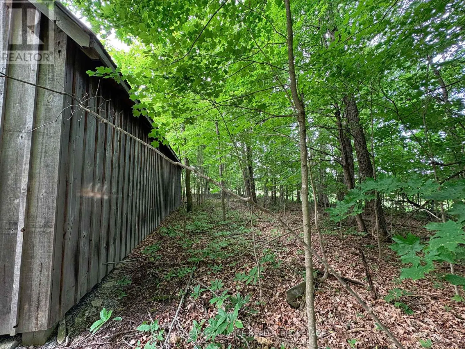 LOT 3 JAMIESON ROAD