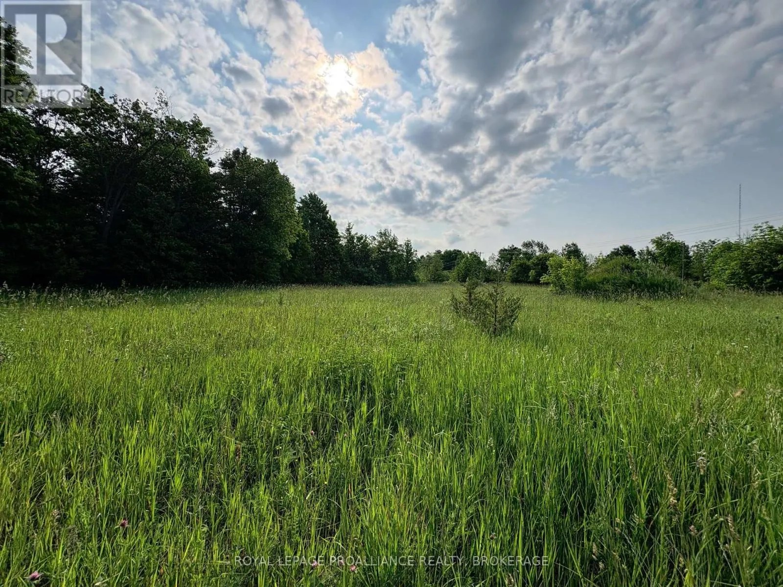 LOT 3 JAMIESON ROAD