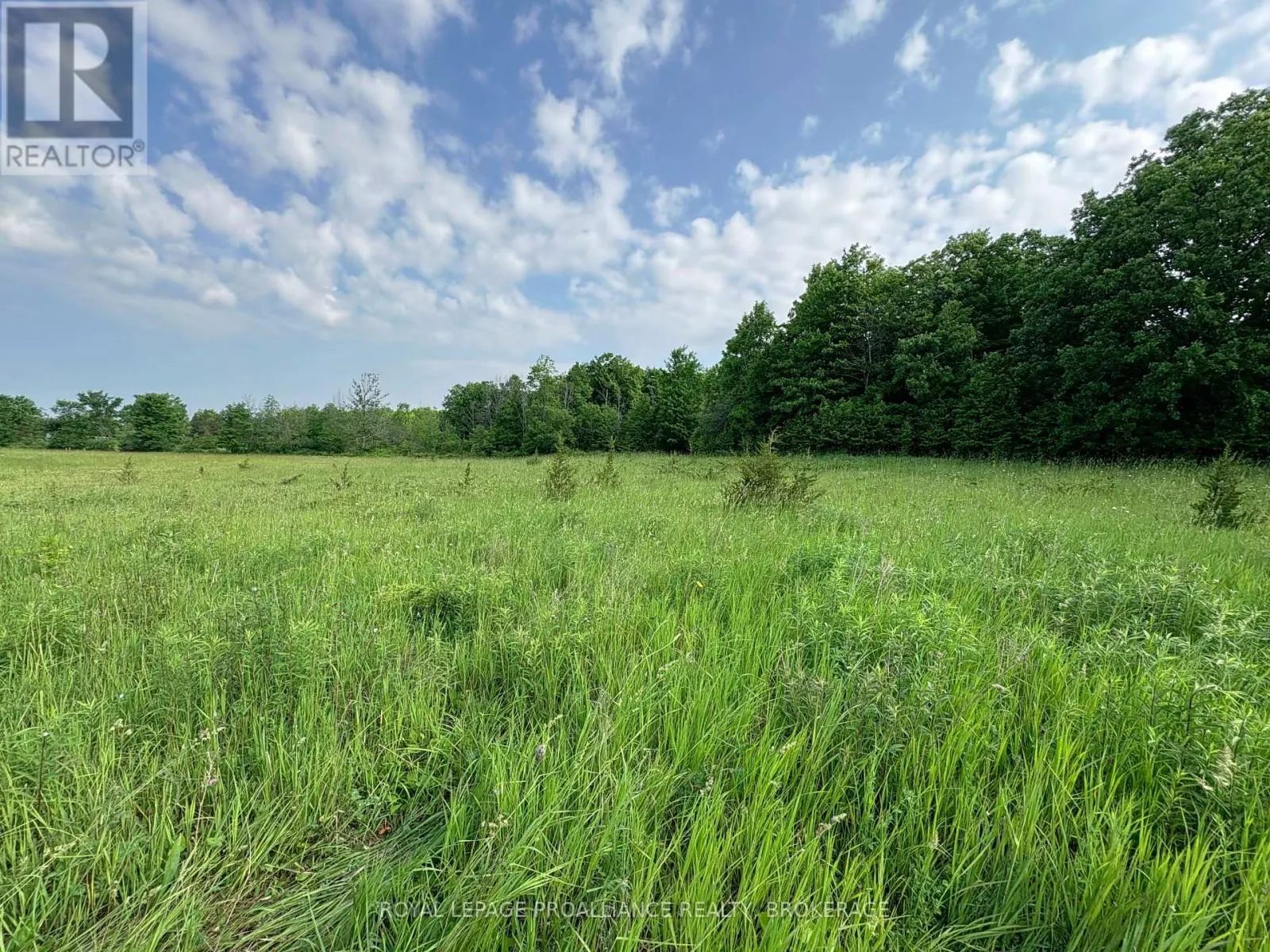 LOT 3 JAMIESON ROAD